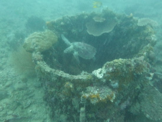 Der Unterwasserverkehr laeuft nach den selben Regeln wie in der Metro: erst raus....
