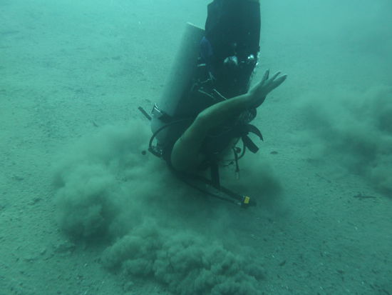 ....erst einmal den Kopp in den Sand stecken musste