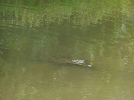 Der hatte uns zum fressen gern.