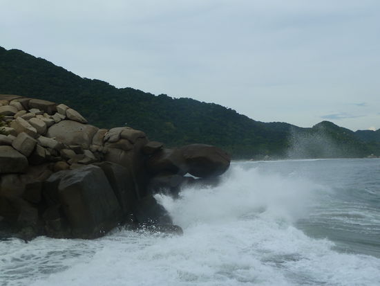 Also, weitere 40 min. Fussmarsch durch gluehende Hitze. Hier herrschen um die 40ºC bei einer unglaublichen Luftfeuchtigkeit, die deine Poren auf Hochtouren arbeiten lassen. Im Grunde genommen haetten wir uns das Wasser auch gleich in die Klamotten schuetten koennen, dann haetten wir wenigsten besser gerochen!!
Ziemlich ausgelaugt haben wir uns dann sofort auf das erste Restaurant gestuerzt, welches wir finden konnten, und noch nie in unserem Leben solch einen Frass vorgesetzt bekommen. Da wir das nicht essen konnten, haben wir unser Fleisch dem Hund gegeben, doch selbst der ass mit langen Zaehnen. (Ich glaube, ich sah ihn eine Stunde spaeter tot am Strand liegen).
Also, frisch "gestaerkt" sind wir weiter marschiert, waehrend ueber uns die Geier kreisten. Wahrscheinlich ist auch denen aufgefallen, wo wir gegessen haben, und warteten nun einfach ab, bis das Essen seine Wirkung tat.