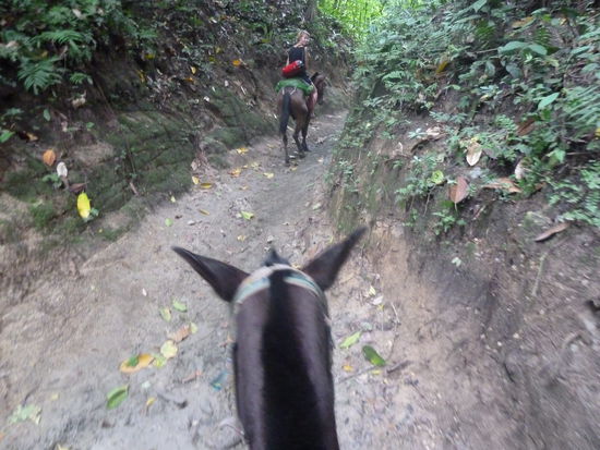 Das Glueck der Erde liegt auf dem Ruecken der Pferde......welch weiser Spruch!!