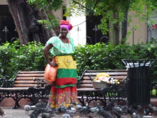 nicht nur die Tauben fliegen auf sie