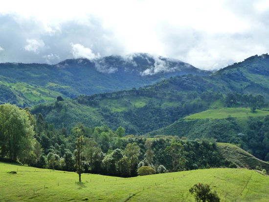 Genauso gruen roch es auch