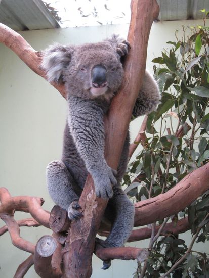 aaahhh... soooo süß !!