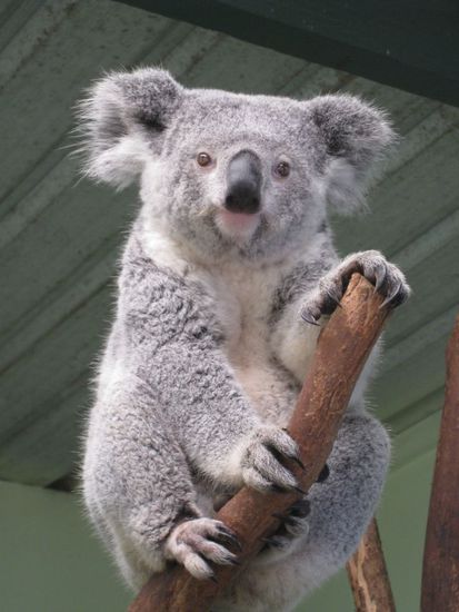 ...und dann mit mir geflirtet 