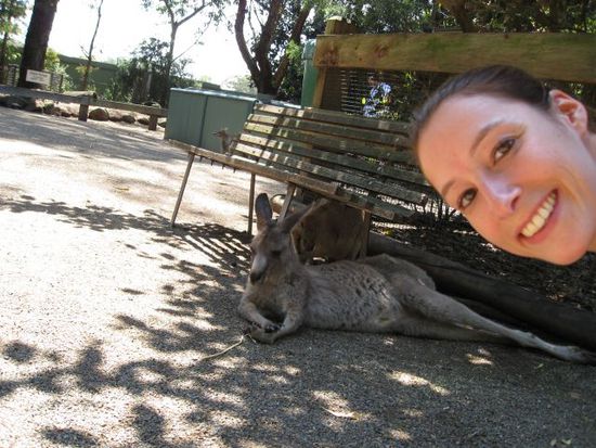 Jaja, die Kängarus relaxen auch gerne (es war garnicht so einfach sich so zu fotografieren, Elke *grins*)