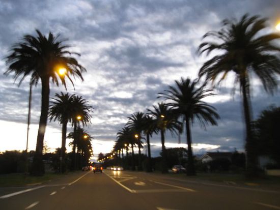 in Napier auf dem Weg zu unserem "Haus"
Wir waren zwei Tage in einer Kabine / Haus auf einem Campingplatz! Das war super!
