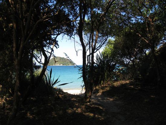 Able tasman Nationalpark