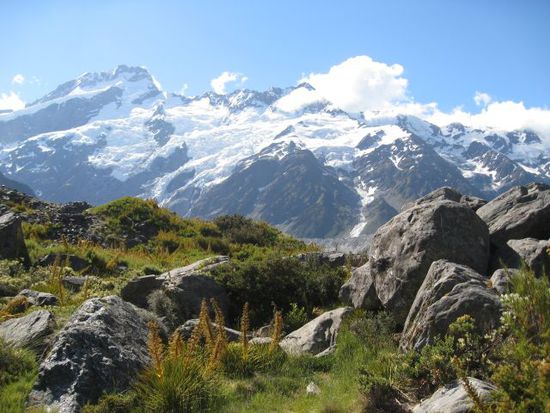 track zum Mt. cook