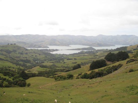Auf dem Weg nach Akaroa mit Mark und Adrian am 10.12.10