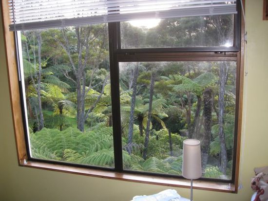 Blick aus meinem Zimmer bei meiner Gastfamilie. Hier kann man den Garten etwas erkennen... Das Grundstück ist riesig und umgeben von Palmen, Farnen, Bäumen und anderen Gewächsen