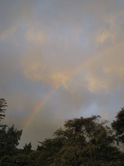 Oratia: gleiches Zimmer aber anderer Tag 
Regenbogen ins Oratia. Am nächsten Morgen war ein wunderschöner Regenbogen direkt vor dem Fenster zu sehen. Herrlich  Hatte das Gefühl ich könnte ihn anfassen weil er so nah war...