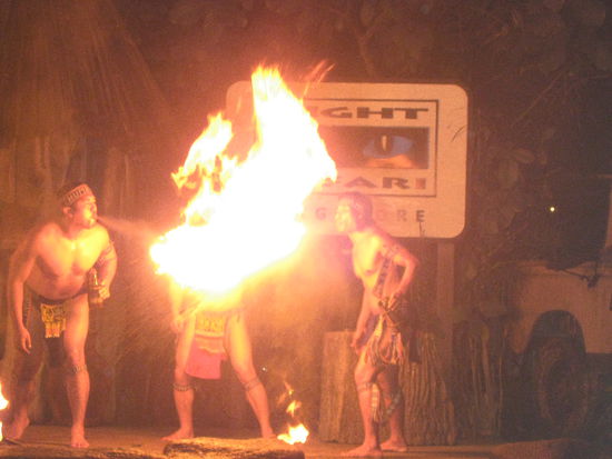eine wirklich heiße Feuershow haben die Jungs da abgeliefert 