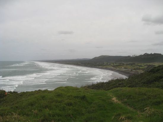 Muriwai Beach