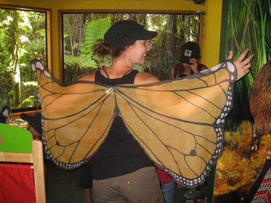 und hier als Schmetterling