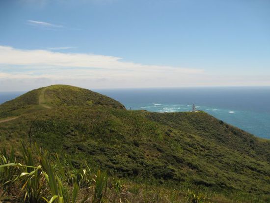daaa hinten sieht man den Leuchtturm vom Cape reinga... gleich kommt er in groß