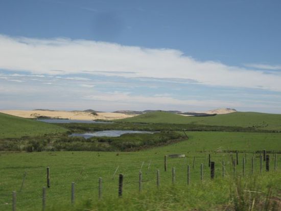 Da kann man gut sehen wie vielfältig NZ ist:
Wiese, See, Meer, Sanddüne.... und auf der anderen Straßenseite Palmen und Farne. Einfach genial