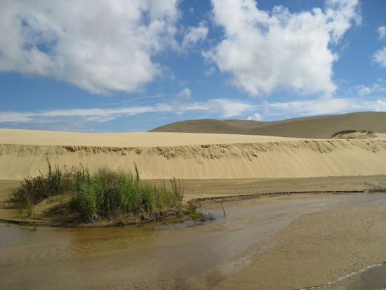 Sanddünen am 90 mile beach. Leider kamen wir dort 5 min zu spät an. Wir wollten Sandboarden, aber als wir kamen ist die Frau mit dem ganzen Zeug gerade weggefahren ;-( Damn....