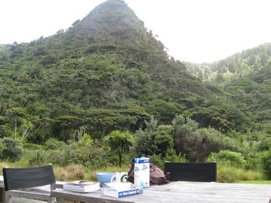 tolles Hostel in Piha: Jandal Palace
Hier: mein Frühstücksplatz!