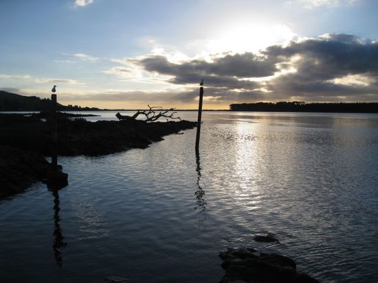 auf dem Weg nach Port Waikato.... leider war ich zu spät am Strand und habe den Sonnenuntergang verpasst.