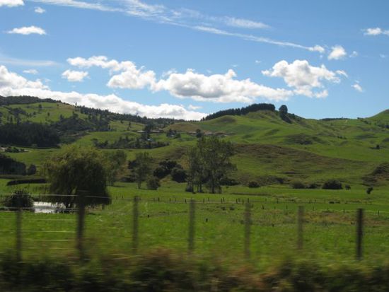 Aus dem Autofenster auf dem Weg nach Coromandel fotografiert
