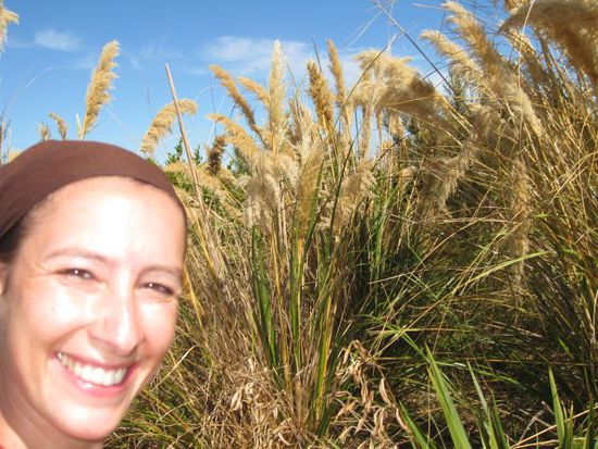 Toi Toi Gras für Doro fotografiert