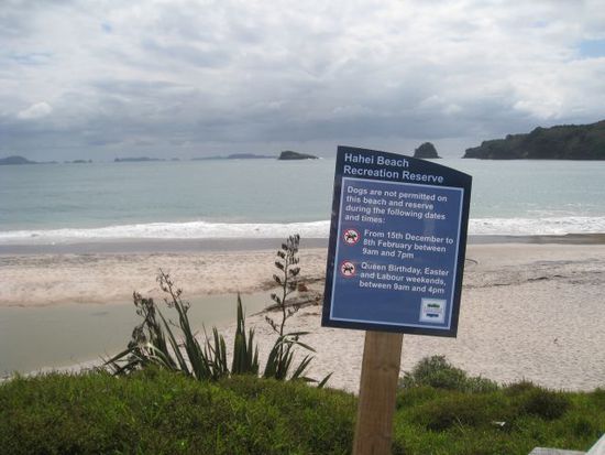 Ich hatte noch 3 Tage Zeit und machte an tollen Orten halt:
hier der Hahei Beach