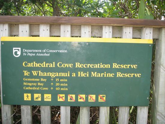 die cathedral cove selbst war leider gesperrt, aber schön war es hier trotzdem: siehe Fotos hier unten...