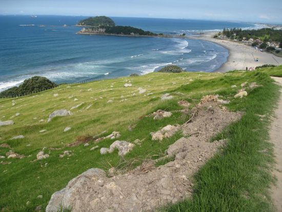 Tauranga
