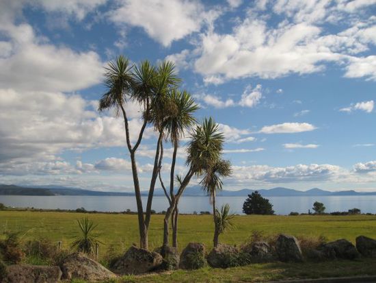 Einer von 16 Seen von Rotorua