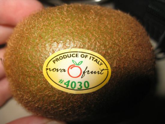 eigentlich kommt Kiwi auf die Torte, aber Helen hat gesehen, dass die Kiwi aus Italien kommt und nicht aus NZ und deshalb hat sie NZ Erdbeeren auf die Torte gemacht
Ist schon komisch, dass mah hier Kiwis aus Italien bekommt obwohl direkt 20 km entfernt die Kiwis zu Massen angebaut werden
Sicher eine seltene Sache. Ich habe bis jetzt nur Obst und Gemüse aus NZ gekauft