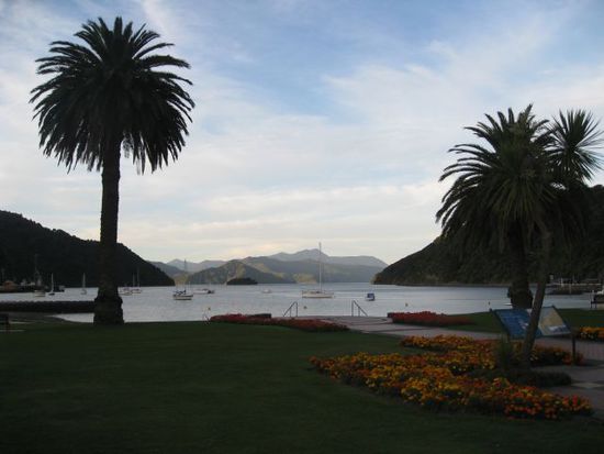 Picton
