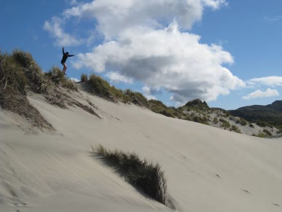 Sanddünen am Farewell Spit:
hier mein waghalsiger Sprung in den Sand