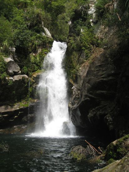 Wainui falls:
erkennt ihr auch eine Frau links im Bild? Man könnte denken sie legt ihren Kopf auf ihre gefaltene Hand... wenn manlive davor steht, sieht man es natürlich deutlicher 