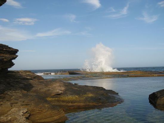sooo schoen !!
Immer noch North curl curl, Manly
