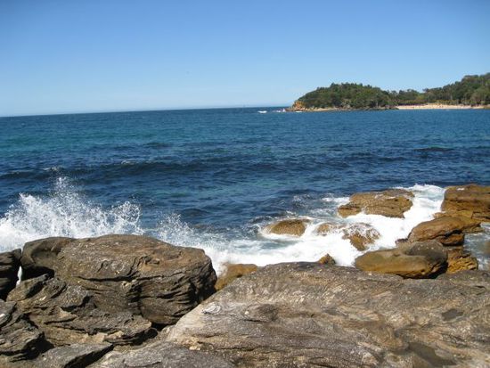Manly: rechts beginnt der Shelly Beach