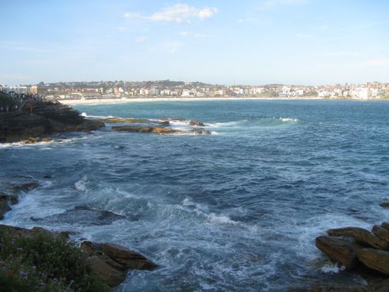 Bondi: Bondi Beach, hier von etwas weiter weg