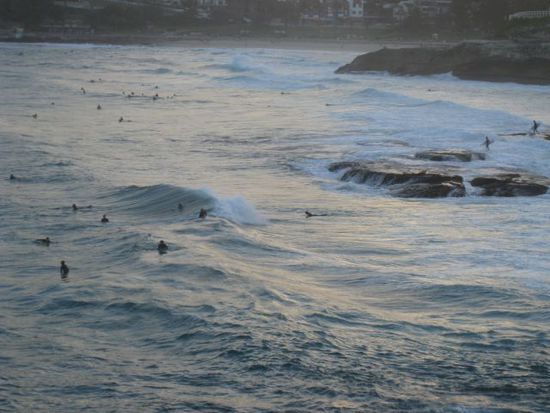 Surfer am Tamarama Beach, hab sie seeeehr lange beobachtet...
Echt interessant