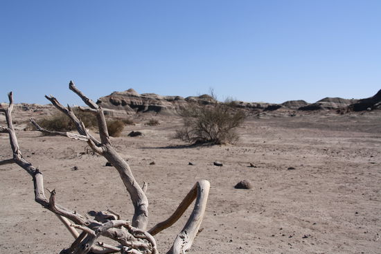 Ziemlich trockene Geschichte hier...