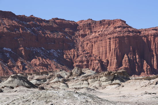 In Valle de la Luna fand man bei Ausgrabungen den aeltesten je gefundenen Dinosaurier.