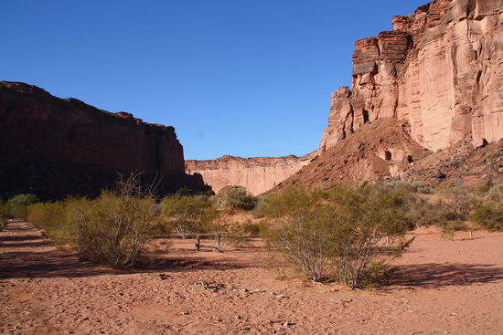 Erinnert irgendwie an Australien.