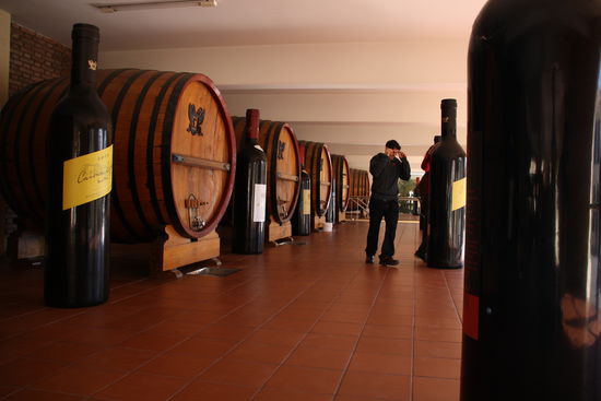 Die wohl beste Werbung die man fuer sein Unternehmen machen kann.