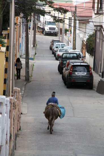 Wer sein Fahrrad liebt,
der schiebt.
Wer sein Maultier mag,
steigt ab.