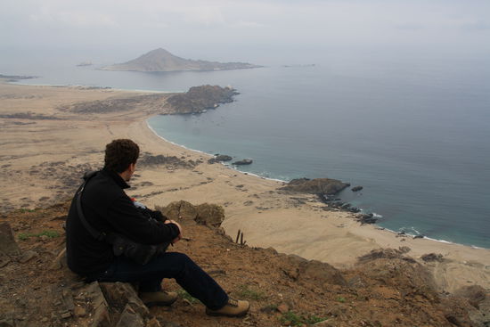 Blick auf eine vorgelagerte Insel auf denen man sogar Pinguine sehen kann.