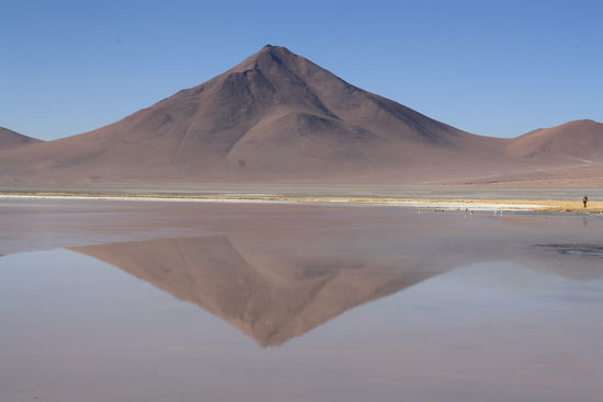 Laguna Colorado. Bzw einfach rote Lagune.