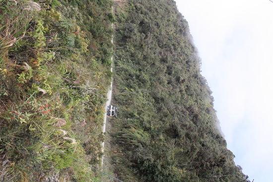 Voellig verrueckt. Autos die nach oben fahren...
