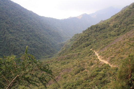 Der Weg durch den Wald...