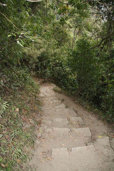 Die "Rennstrecke"...