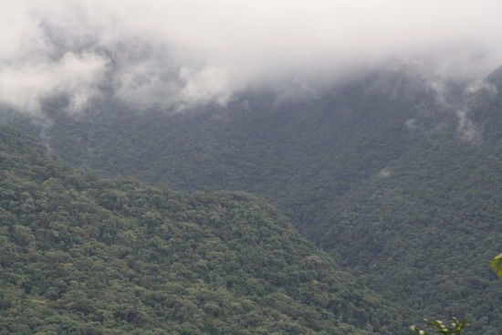 Ewig weiter Ausblick.