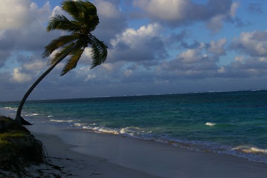 Da wäre ich viel lieber..........